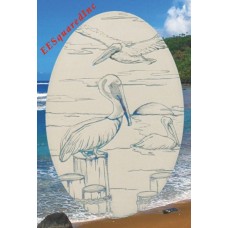 Pelicans Static Cling Window Decal OVAL 21x33 Ocean Decor for Glass Doors   152859838848